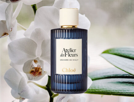 Atelier des Fleurs, Orchidée de Minuit di Chloé